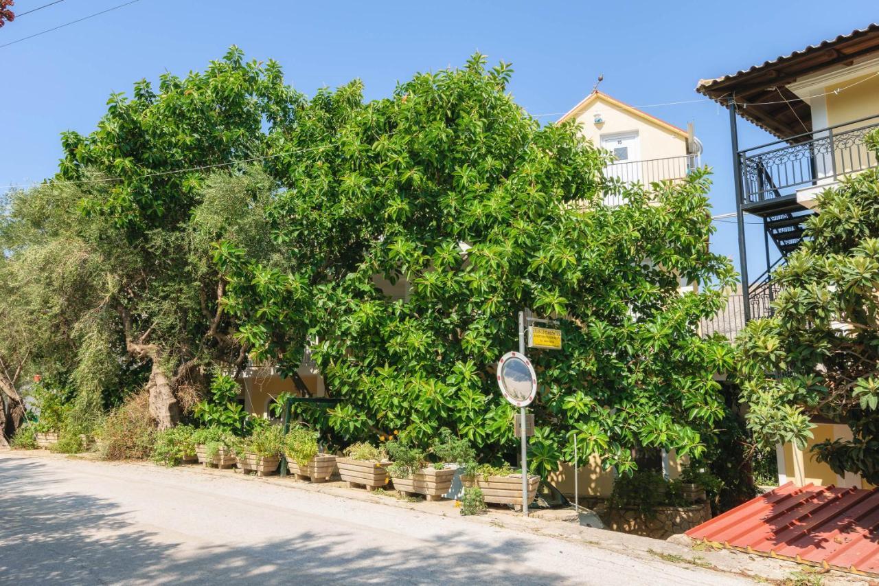 Studio Timotheos Marathias  Ngoại thất bức ảnh